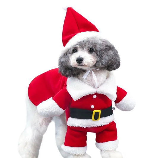 Santa Coat for Pets